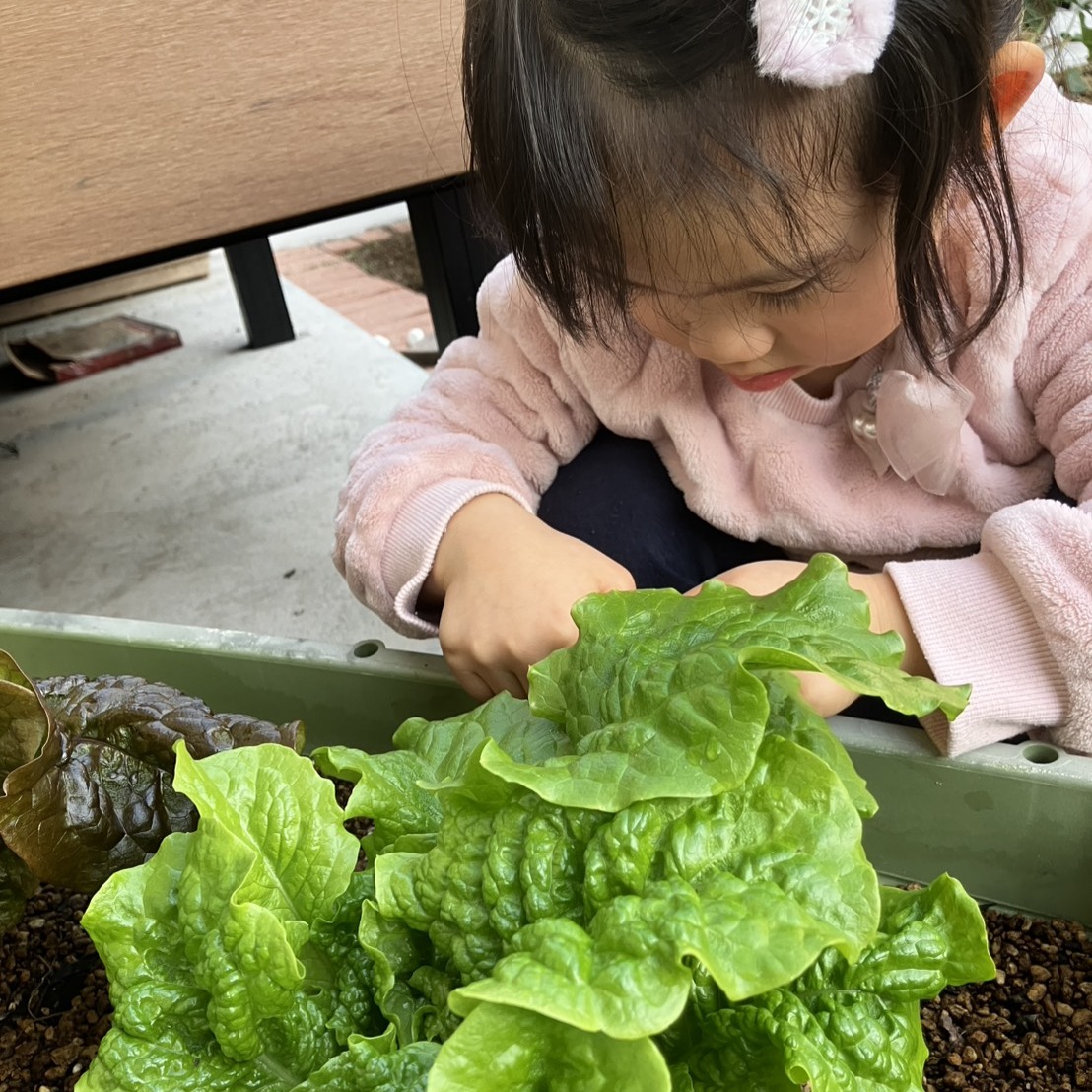 じっと見つめて観察