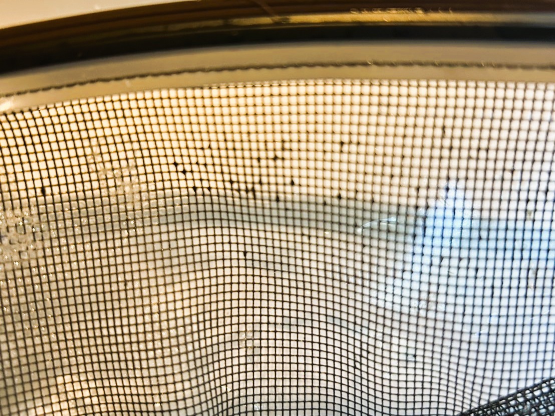 窓ガラスより網戸のほうが多くカビが付着していました